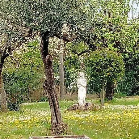 Oda ve Kahvaltı Ergira 3*